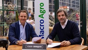 Alianza Macro y Brangus