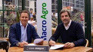 Alianza Macro y Brangus