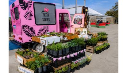 Vivero en casa, un rincón que crece conmigo