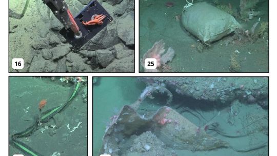 Un estudio científico documentó -por primera vez- cómo es la basura que “tiramos” en las profundidades del mar