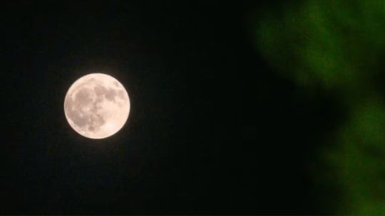 Luna llena del ciervo: el motivo ancestral tras la denominación del fenómeno astronómico de julio