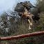2907_animales