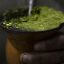 Behind yerba mate craze, Argentine farmers bemoan Milei’s austerity