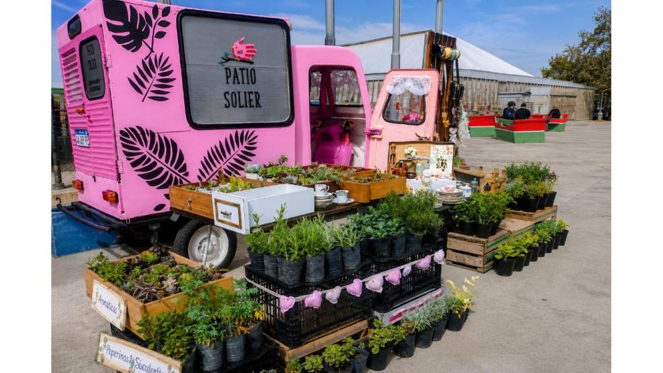Vivero en casa, un rincón que crece conmigo
