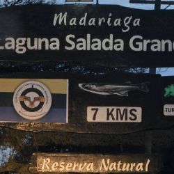 La experiencia dejó una conclusión muy clara para quienes planeen visitar la Salada Grande en los próximos días. Actualmente no conviene "pasear" la laguna buscando el pescado. Por el contrario, resulta mucho más efectivo realizar garetes cortos o permanecer anclado, esperando que el cardumen llegue al sector elegido.