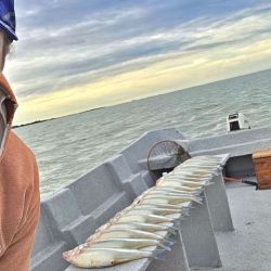 La experiencia dejó una conclusión muy clara para quienes planeen visitar la Salada Grande en los próximos días. Actualmente no conviene "pasear" la laguna buscando el pescado. Por el contrario, resulta mucho más efectivo realizar garetes cortos o permanecer anclado, esperando que el cardumen llegue al sector elegido.