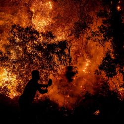 Un voluntario utiliza una pala para combatir un incendio forestal en el distrito de Seydikemer, en Mugla. Los bomberos turcos lucharon contra incendios forestales cerca de las playas turísticas del sur del país, que obligaron a la evacuación de cientos de personas, según informaron las autoridades. Cientos de bomberos se enfrentaron al mayor incendio de la provincia de Mugla, con más de 20 aviones y helicópteros arrojando agua sobre las llamas, según el Ministerio de Agricultura. | Foto:Murat Kocabas / AFP