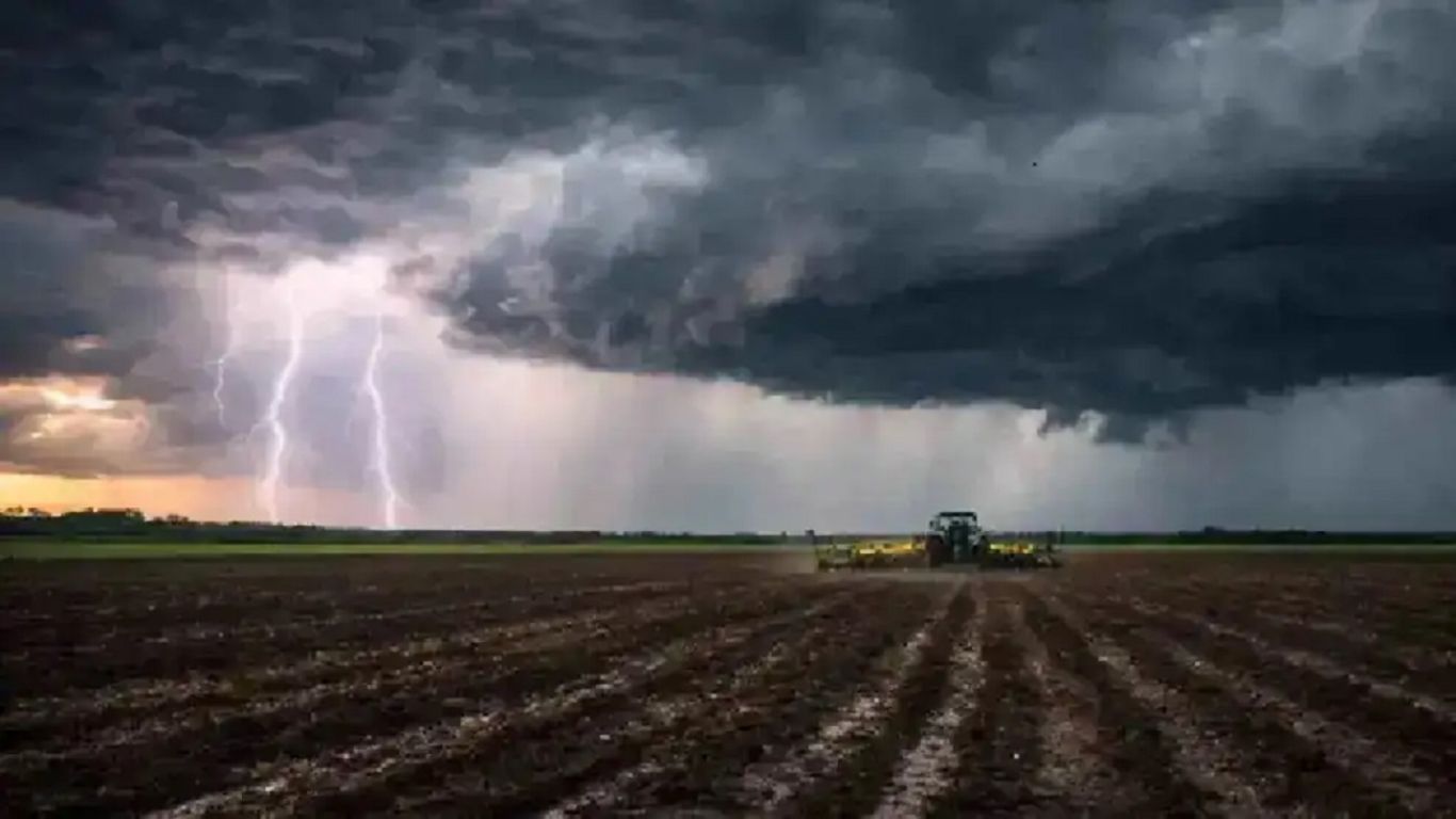 Cómo impactará El Niño en la producción agropecuaria hasta 2027 | Canal E