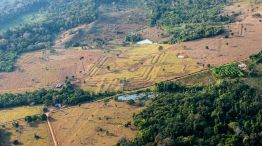 Descubren una civilización perdida en el Amazonas