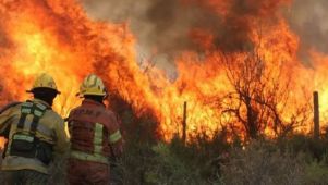 Incendios forestales en Córdoba