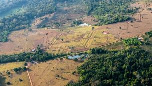 Descubren una civilización perdida en el Amazonas