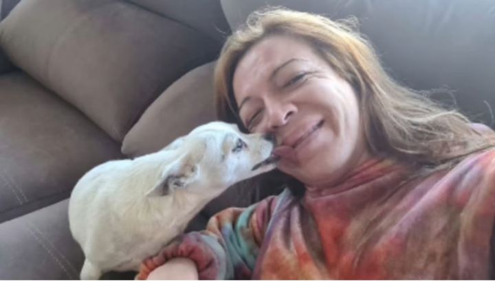 El desgarrador posteo de Lizy Tagliani por la muerte de su perro: "Diste todo en esta vida"