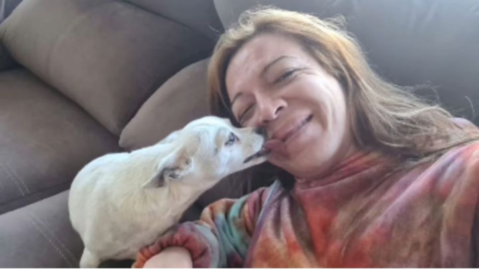 Lizy Tagliani y Benito