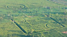 La selva amazónica nunca fue virgen: una antigua civilización la habitó durante 1.500 años