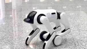 3107_robot
