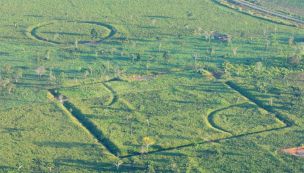 Amazonia desde el aire