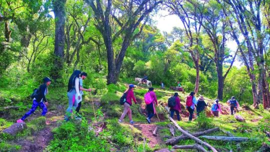 Joya jujeña: trekking en las yungas menos conocidas