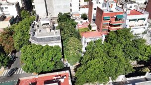 01_08_2026_bosque_oculto_almagro_gzacolectivorelieve_g