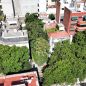 El bosque oculto del barrio de Almagro que los vecinos quieren salvar antes de que sea tarde