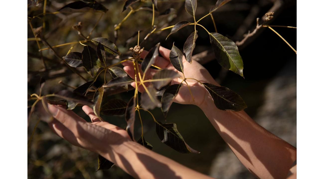 Cómo convertir las emociones en sus aliadas 