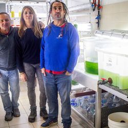 Los investigadores ahora esperan con gran expectativa el próximo período reproductivo, previsto entre noviembre y diciembre. El objetivo será repetir el protocolo desarrollado durante este ciclo e incrementar considerablemente la cantidad de juveniles obtenidos. 