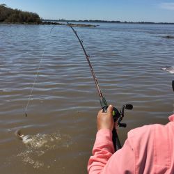 Cada salida de pesca representa mucho más que la búsqueda de una captura: es compartir un amanecer, aprender de la naturaleza, transmitir experiencias entre generaciones y mantener vivas tradiciones profundamente argentinas.