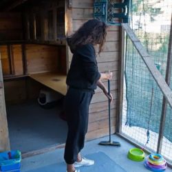 La limpieza de las unidades de alojamiento para nuestros gatitos y gatos enfermos forma parte de la rutina diaria de nuestros voluntarios