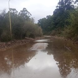Uno de los lugares más castigados volvió a ser el histórico Club de Pesca Concordia. La creciente inundó gran parte de sus instalaciones y obligó al personal y a los socios a trabajar contrarreloj para proteger embarcaciones, motores, mobiliario y distintos bienes pertenecientes a la institución.