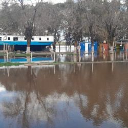 Uno de los lugares más castigados volvió a ser el histórico Club de Pesca Concordia. La creciente inundó gran parte de sus instalaciones y obligó al personal y a los socios a trabajar contrarreloj para proteger embarcaciones, motores, mobiliario y distintos bienes pertenecientes a la institución.