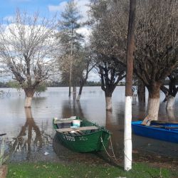 Uno de los lugares más castigados volvió a ser el histórico Club de Pesca Concordia. La creciente inundó gran parte de sus instalaciones y obligó al personal y a los socios a trabajar contrarreloj para proteger embarcaciones, motores, mobiliario y distintos bienes pertenecientes a la institución.