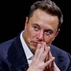 Elon Musk | Foto:CEDOC