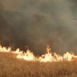 Los bomberos combaten un incendio forestal en la zona de Cebreros, cerca de Ávila, a 80 km al oeste de Madrid. España declaró el estado de emergencia nacional en la Comunidad de Madrid y en la provincia de Ávila, cerca de la capital, a raíz de varios incendios forestales fuera de control. Los científicos llevan tiempo advirtiendo de que el cambio climático provocado por el uso humano de combustibles fósiles intensificará y prolongará los periodos de sequía, creando las condiciones ideales para los incendios forestales. | Foto:Cesar Manso / AFP