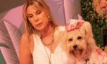 Polémica con Karen Reichardt por su proyecto sobre criaderos de perros