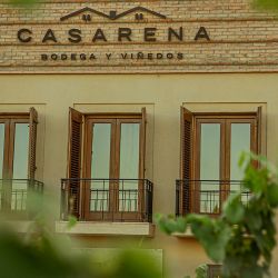 Bodega Casarena en Delirio
