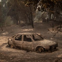 Imagen de un vehículo quemado después de un incendio forestal, en el Valle del Tiétar, en la provincia de Ávila, España. | Foto:Xinhua/Bruno Thevenin