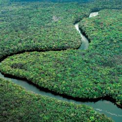 relatorio Natura
