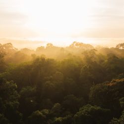 relatorio Natura