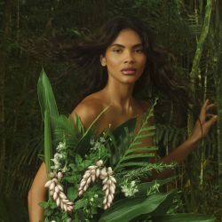 relatorio Natura