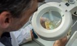Científicos del CONICET realizan un inédito y extenso monitoreo de peces en el Río de la Plata
