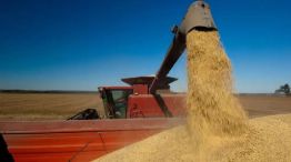 Agro