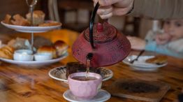 Apasionados por el Té