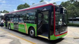 Colectivo