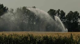 Récords de temperatura y severa sequía 04082026