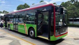 Colectivo