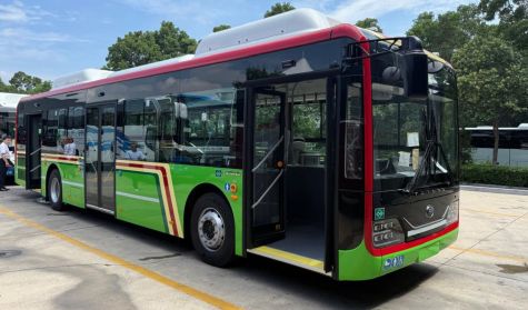 Colectivo