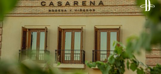 Vinos que hablan de su lugar