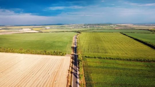 Actualidad del mercado inmobiliario rural: “Lo que es campos agrícolas están muy demandados, también los ganaderos”