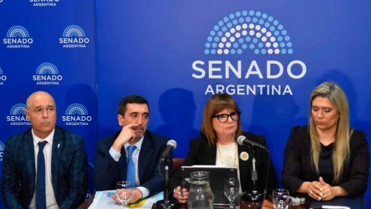 Ley de Tierras: ante el riesgo de derrota en el Senado, el Gobierno eliminó el capítulo más polémico del proyecto