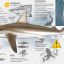 0408_tiburones