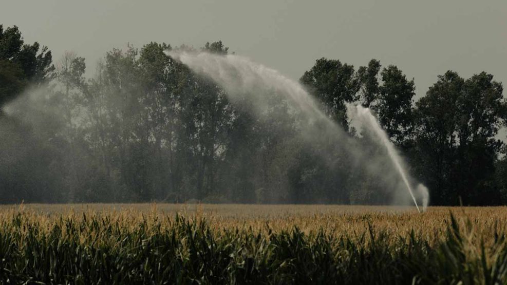 Récords de temperatura y severa sequía 04082026